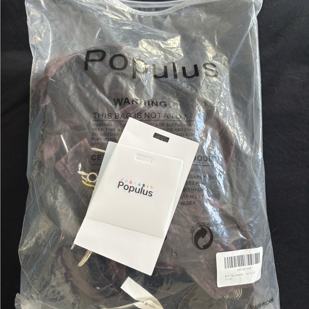 Populus Backpack in Dark Brown